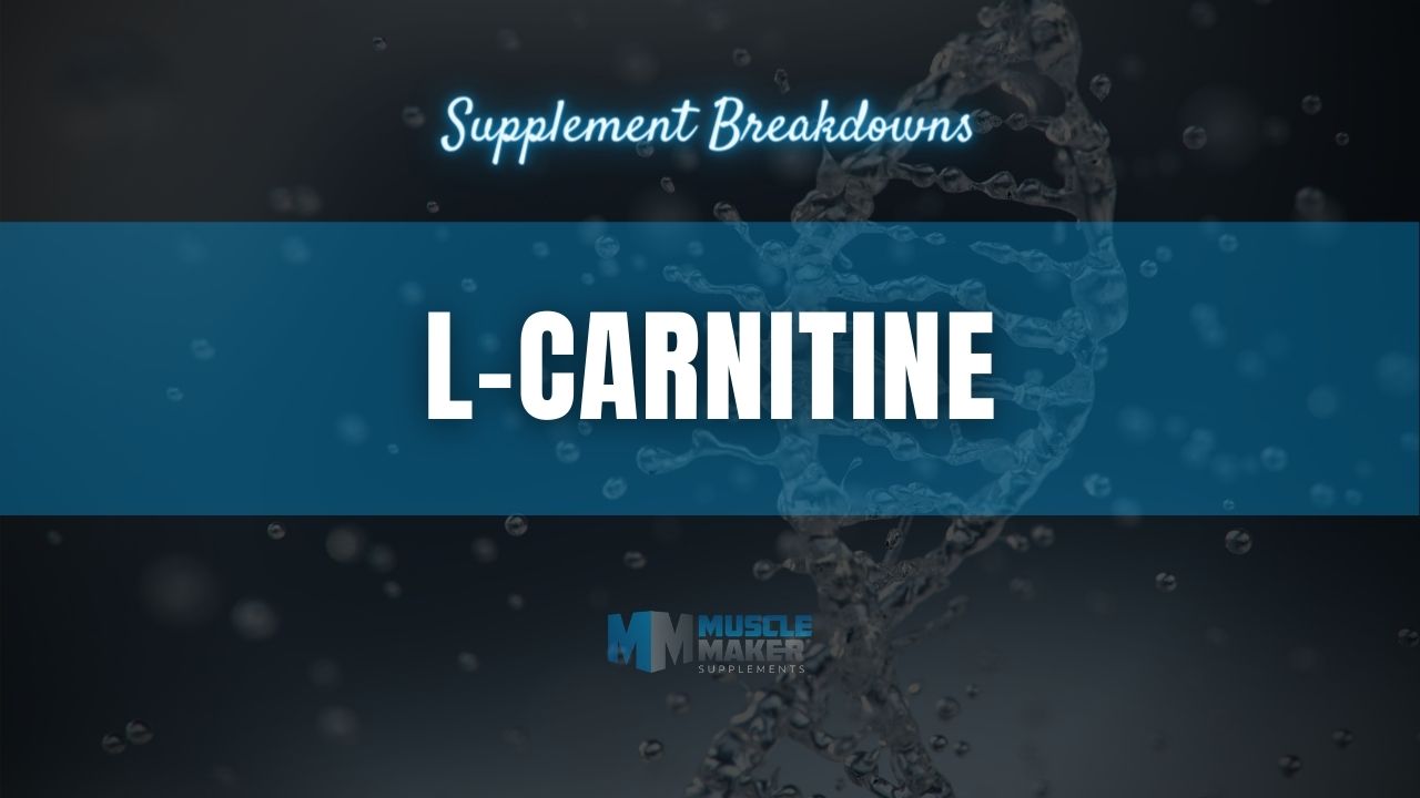 Supplement breakdown - L-Carnitine