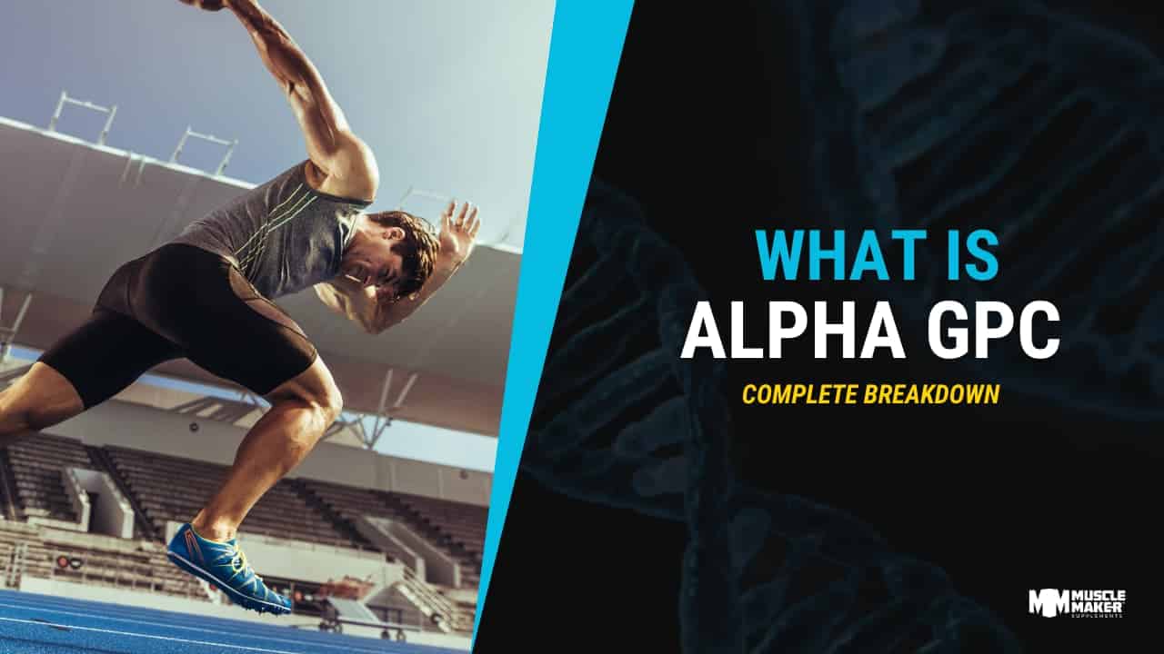 Ingredient Breakdown Alpha GPC