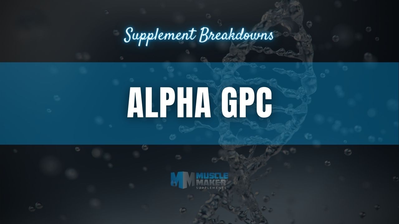 Supplement breakdown - Alpha GPC