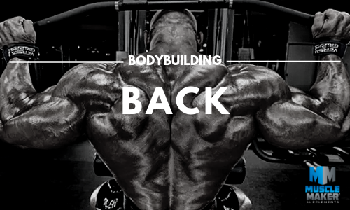 bodybuilding workout plan. Back
