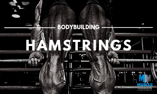 bodybuilding workout plan. Hamstrings