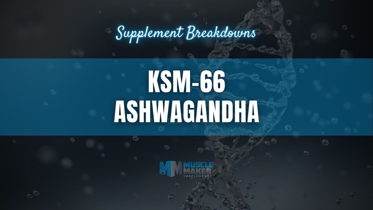 Supplement breakdown - KSM-66 ASHWAGANDHA
