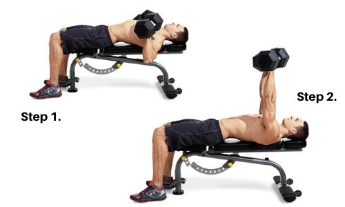 Dumbbell Bench Press How to