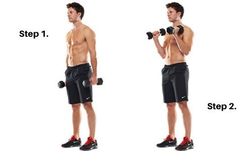 Hammer Curls How to