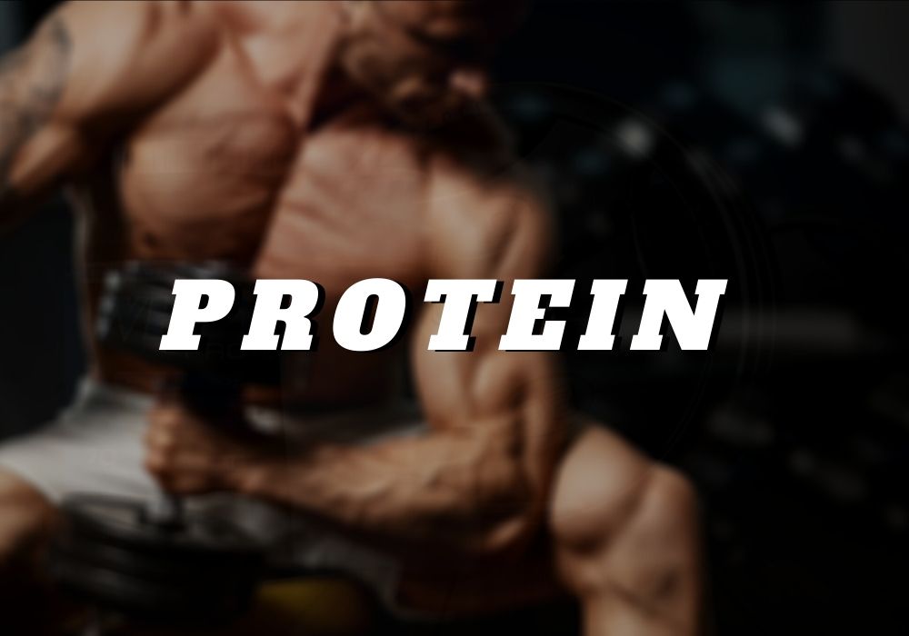 The Best Protein Supplements 2020 Banner