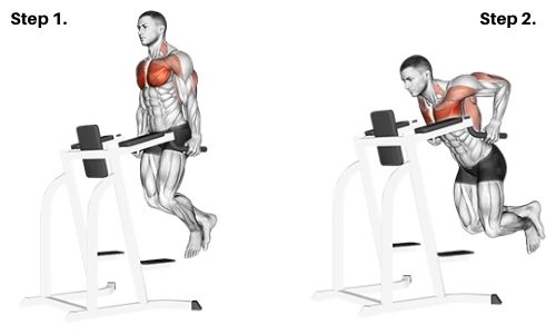 How to do Dips - Chest Version