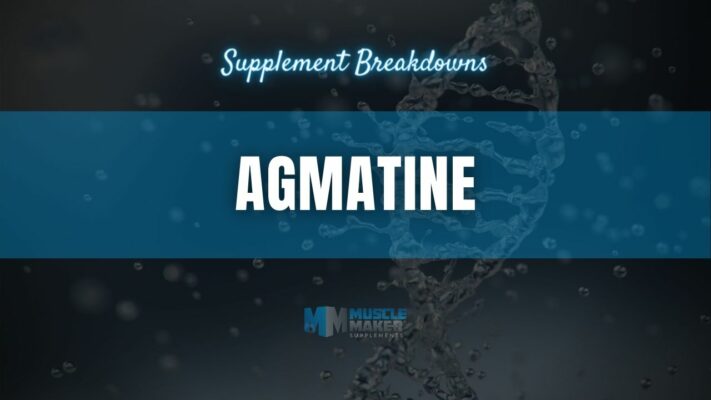 Supplement breakdown - Agmatine