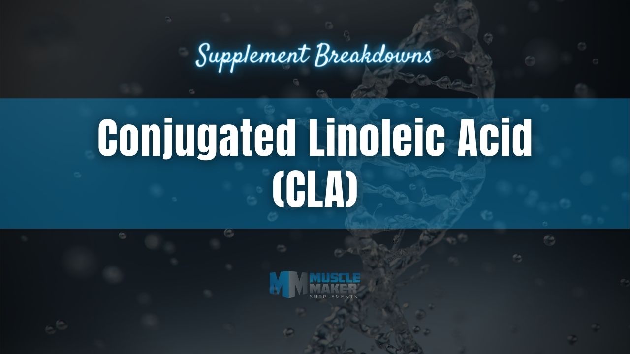 Supplement breakdown - Conjugated Linoleic Acid (CLA)