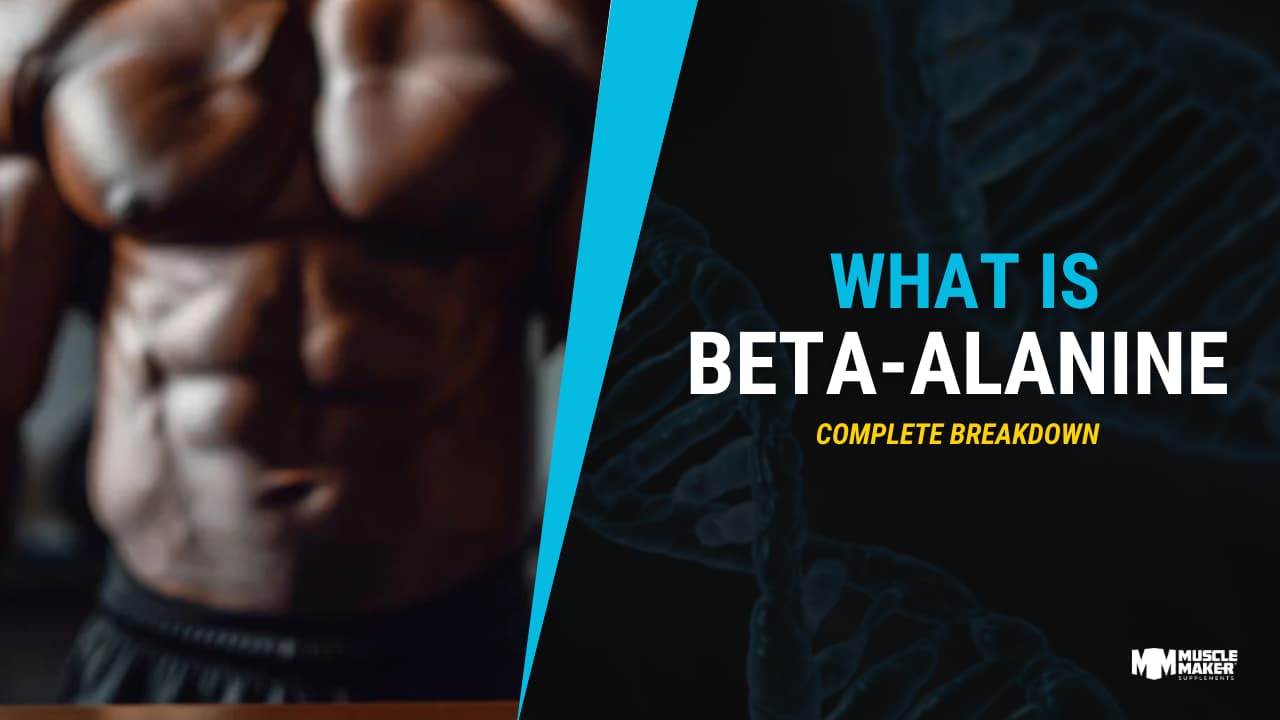 Ingredient Breakdown Beta alanine (1)
