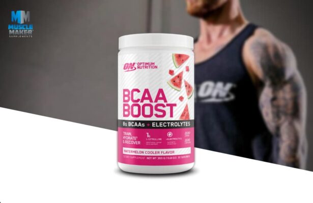 Optimum Nutrition BCAA Boost Product