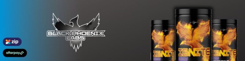 Black Phoenix Labs Ignite Payment Banner