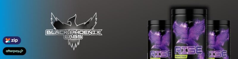 Black Phoenix Labs Rise Payment Banner