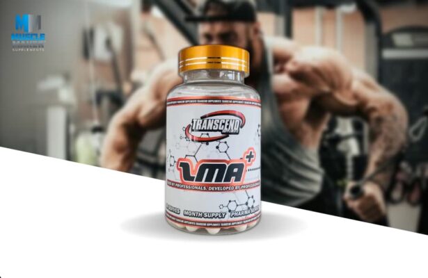 Transcend Supplements ZMA+ Product