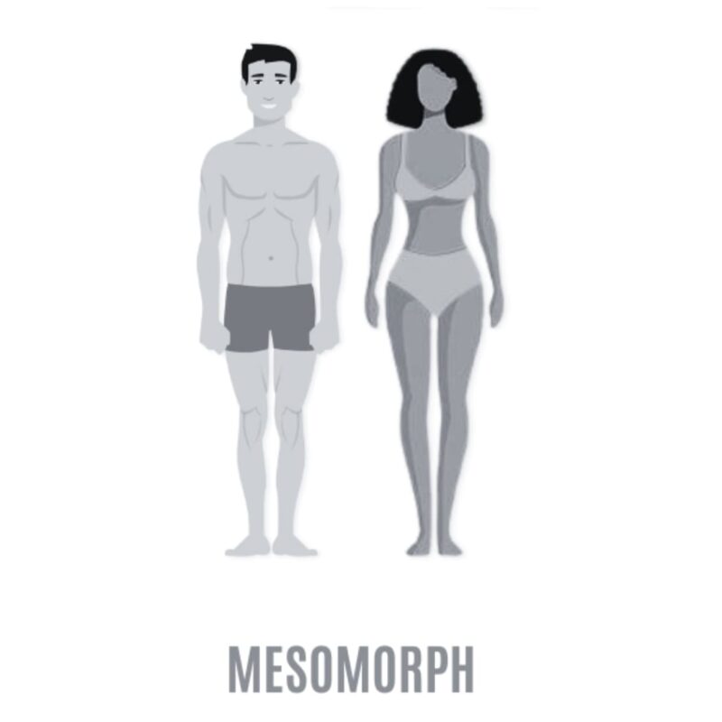 Mesomorph Body Type