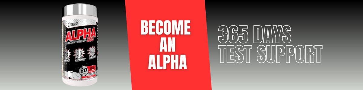 Glaxon Alpha 365 Info Banner