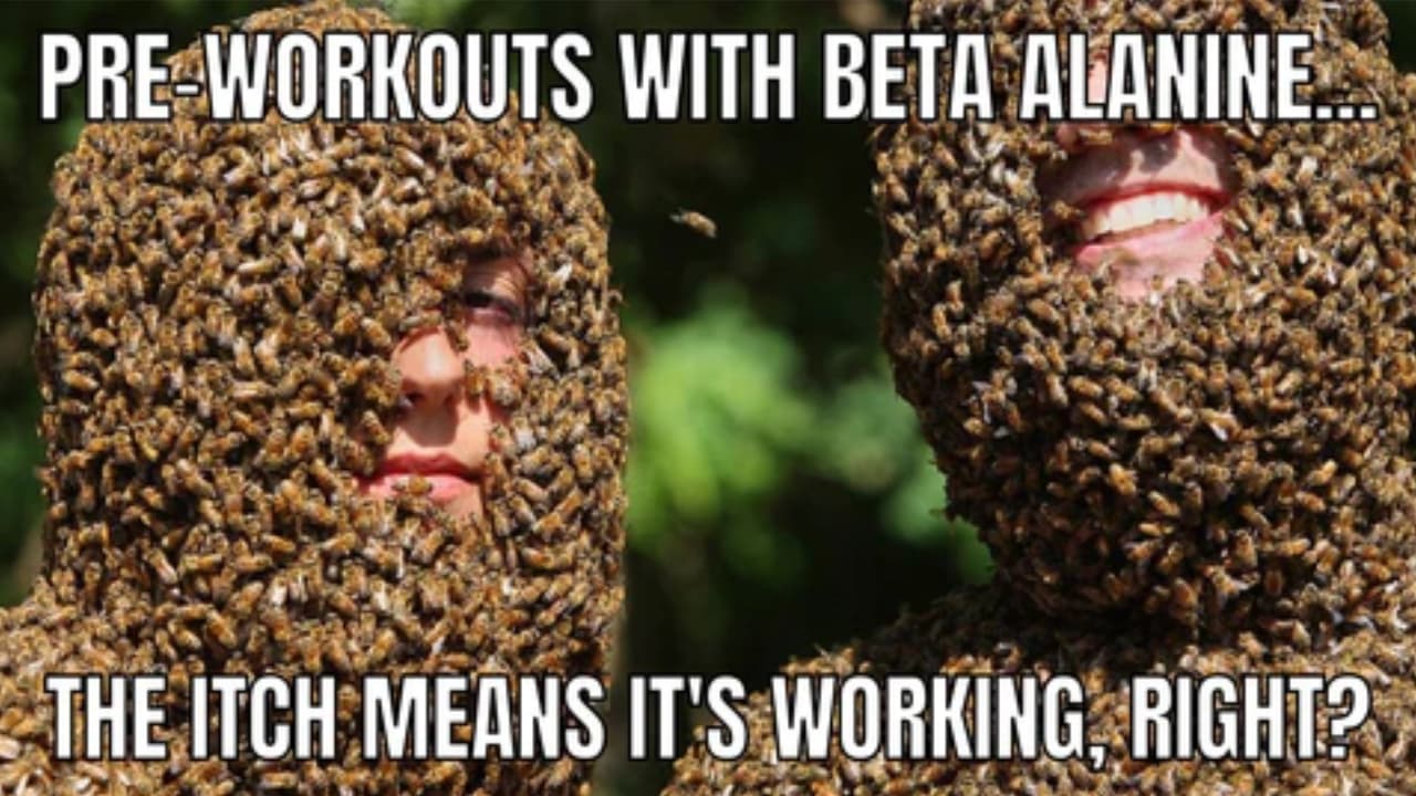 Pre Workouts Without Beta Alanine