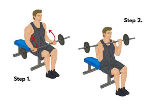 Seated EZ Bar barbell Curl - How to do seated EZ Bar Barbell curls