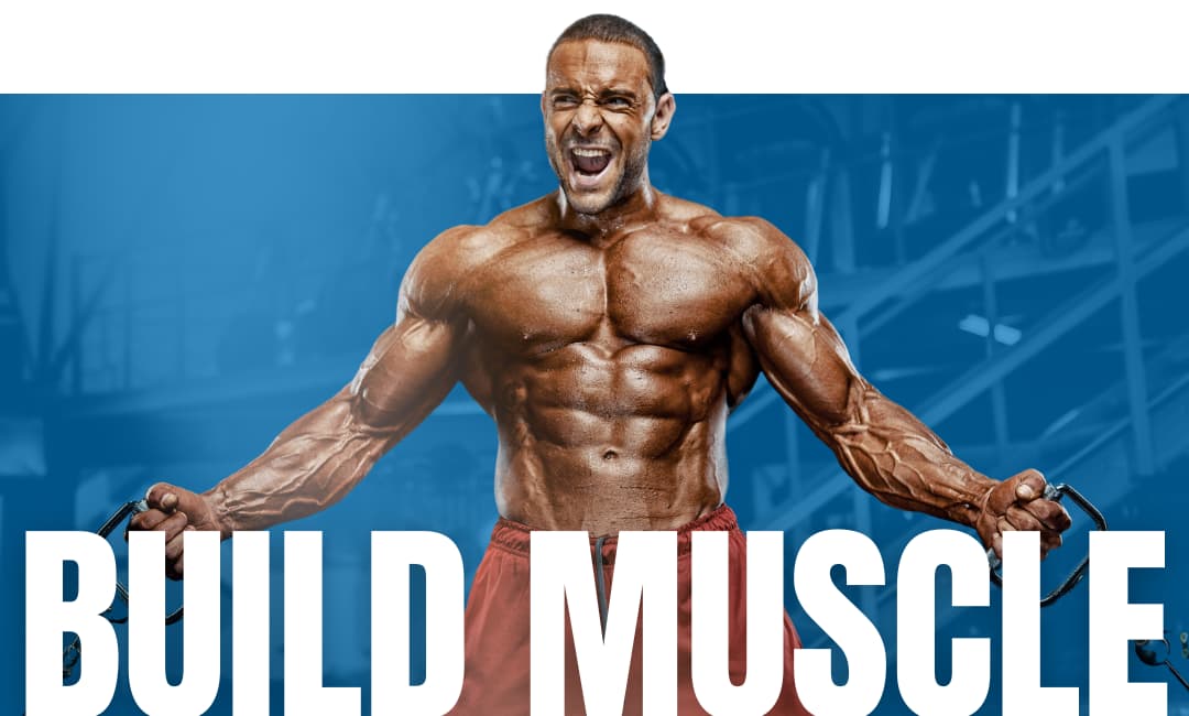 Build Muscle Icon