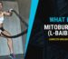 Ingredient Breakdown MitoBurn L-Baiba (1)