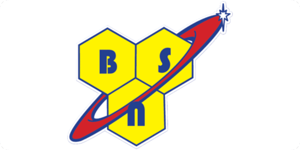 BSN Supplements Logo (600x300)